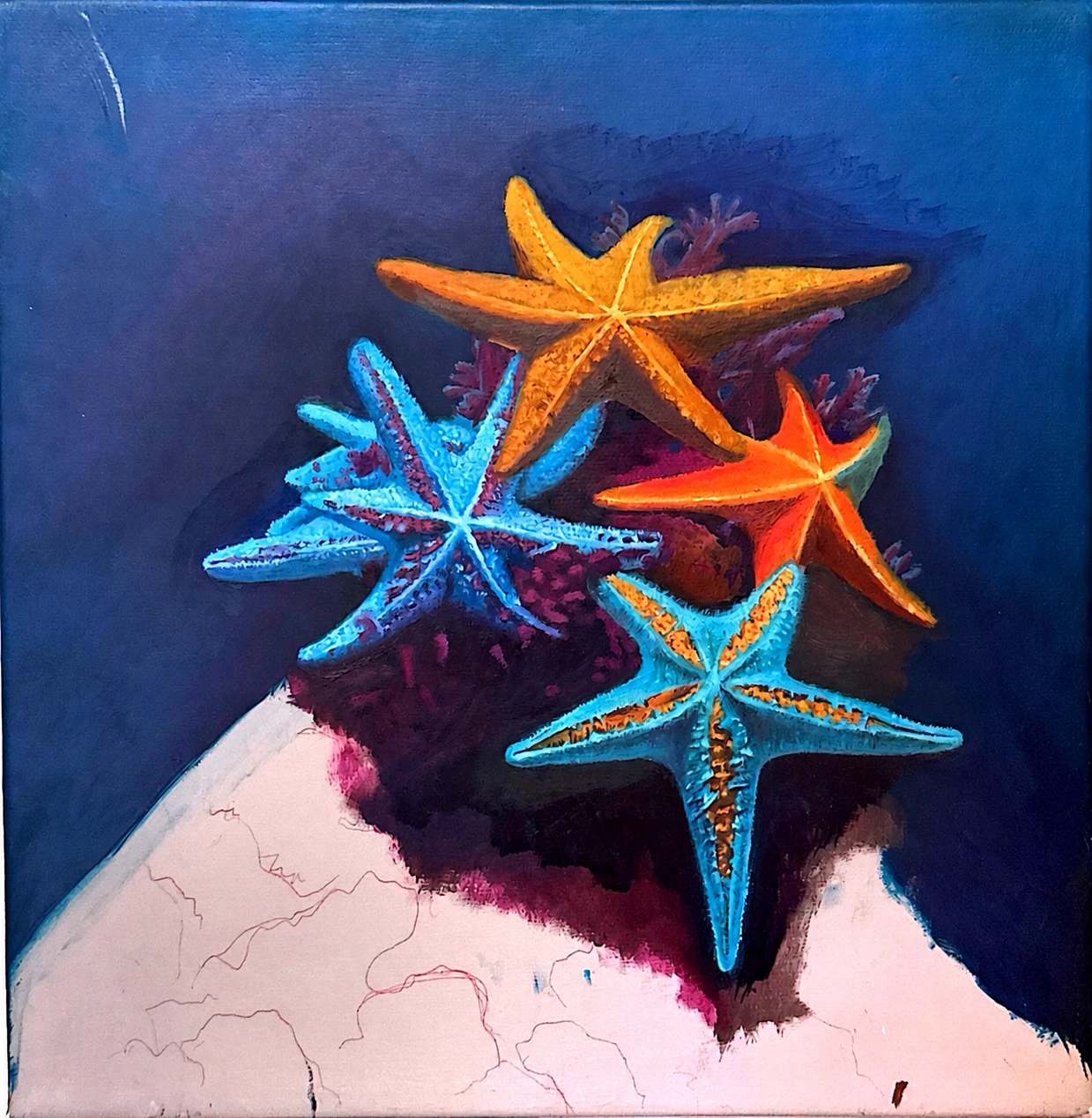 Starfish — painting by Nadia Shenasi