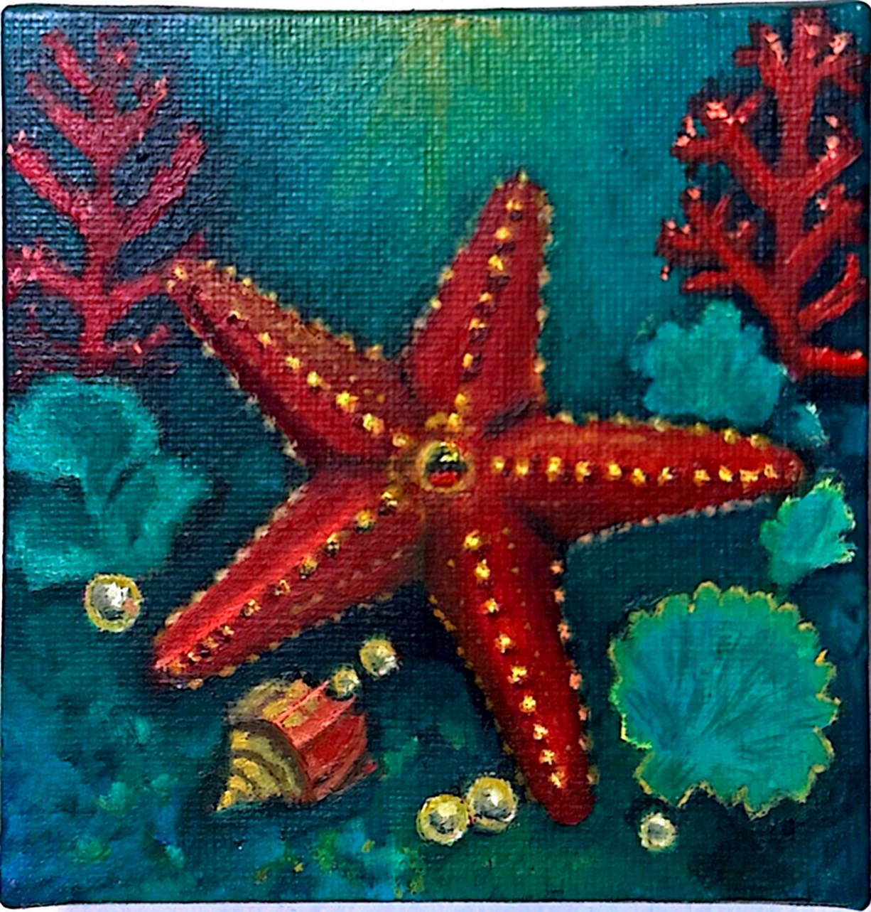 Starfish & shell — painting by Nadia Shenasi